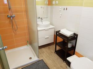 a bathroom with a shower and a sink and a toilet at Rooms Tolminska korita in Tolmin