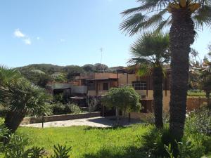 a house with a palm tree in front of it at Mare Blu in Stintino