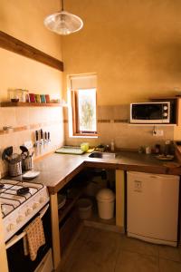 a kitchen with a counter and a sink and a stove at Latitud 49 Apart in El Chalten