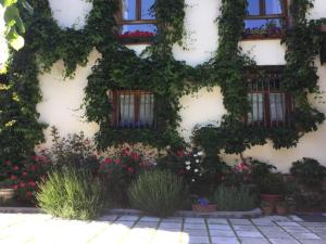 ポサダ・デ・バルデオンにあるHotel Rural Picos de Europaの花窓で覆われた蔦の建物