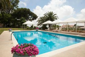 a swimming pool with purple flowers and white umbrellas at Al Bustan Hotel and Spa in Beit Meri