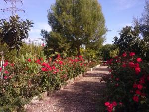 a garden with pink flowers and trees on a sunny day at Alojamiento Rural VillaSol in La Piedra de la Sal
