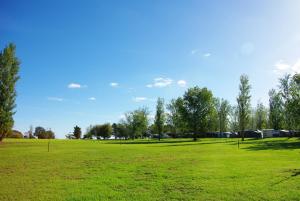 a large field of green grass with trees in the background at Hilltop Resort in Swan Hill