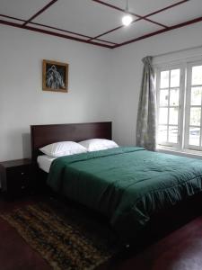 um quarto com uma cama com um cobertor verde em Pedro View Homestay em Nuwara Eliya