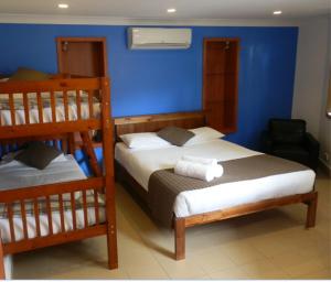 Gallery image of Koala Tree Motel in Port Macquarie