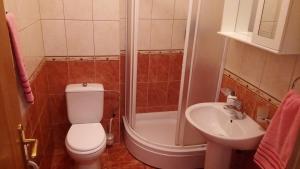 a bathroom with a toilet and a shower and a sink at Apartman Ozi in Petrovac na Moru