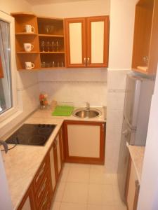a small kitchen with a sink and a refrigerator at Apartman Ozi in Petrovac na Moru