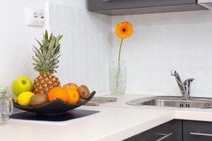Kuchyň nebo kuchyňský kout v ubytování Studio apartment Laganini