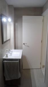 baño con lavabo y puerta con espejo en Apartamento Jardín de Ayora, en Valencia