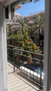 A balcony or terrace at Apartamento Jardín de Ayora