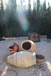 A garden outside Casa Rural Mendoza