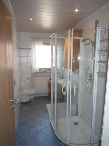 ハルプレヒにあるLandhaus Lotteのバスルーム(シャワー、洗面台、トイレ付)