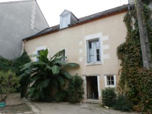 una casa vieja con una palmera delante de ella en La Porte Bleue en Amboise