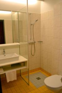La salle de bains est pourvue d'une douche, d'un lavabo et de toilettes. dans l'établissement Hotel Grazerhof, à Bad Gleichenberg