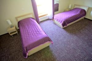 Un pat sau paturi într-o cameră la Terme Topolsica Apartments