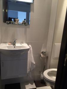 a bathroom with a sink and a toilet at Apartment Spa Holidays in Sandanski