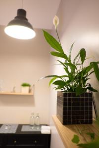 a plant sitting on a counter next to a light at Hôtel De La Gare in Villeneuve-Saint-Georges