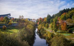 a river in the middle of a park with trees at Era Uma Vez Apartment in Vila Real +28 photos