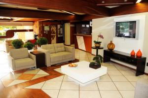 - un salon avec des canapés et une télévision dans l'établissement Serra Negra Paladium Hotel, à Serra Negra