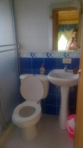 La salle de bains est pourvue de toilettes, d'un lavabo et d'un miroir. dans l'établissement Cabaña Los Hayuelos, à Paipa