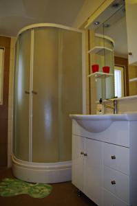 eine Dusche in einem Badezimmer mit Waschbecken und Spiegel in der Unterkunft Apartmani Mihaela Dobropoljana 52 in Dobropoljana + 15 Fotos
