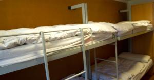 a couple of bunk beds in a room at Albergue Montes de Anaga in El Bailadero