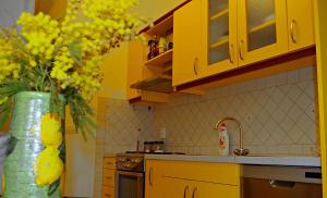 Küche/Küchenzeile in der Unterkunft Apartmani Mihaela Dobropoljana 52