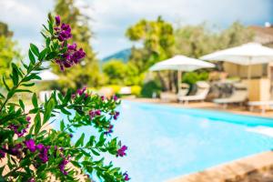 a swimming pool with purple flowers in the foreground at Agriturismo Castello Santa Margherita in Cori