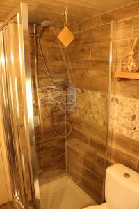 a bathroom with a shower with a toilet at Meine kleine Ecke in Ferden +47 photos