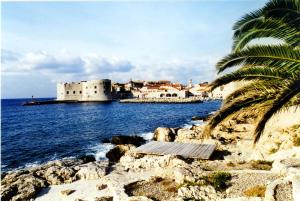 a beach with a palm tree and a castle at Dubrovnik Hotel Alternatives in Dubrovnik