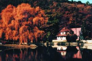 ein Haus am Ufer eines Sees mit Bäumen in der Unterkunft Hotel Síkfőkút in Noszvaj