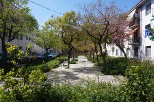 a street in a city with trees and buildings at KYMA Apartments - Athens Acropolis 4 in Athens