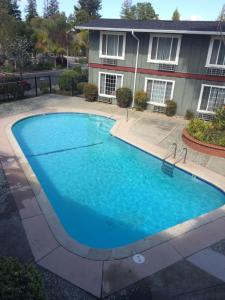 a large blue swimming pool in front of a house at Oak Motel in Palo Alto