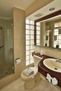 a bathroom with a toilet and a sink and a mirror at Minister Business Hotel in Tegucigalpa