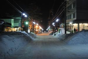 Gallery image of Hakuba Echo Hotel and Apartments in Hakuba