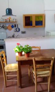 CannoleにあるCasa Paolaのキッチン(木製テーブル、鉢植えの植物2本付)