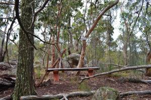 a wooden bench sitting in the middle of a forest at 31 The Rocks in Stanthorpe