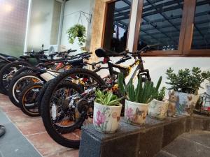 Attività di ciclismo presso il resort o nelle vicinanze