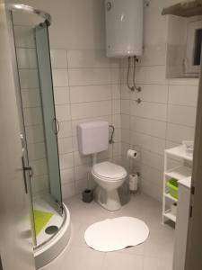 Koupelna v ubytování Apartment Estera
