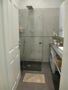 een douche met een glazen deur in de badkamer bij Charming Viennese Home in Wenen