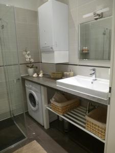 y baño con lavabo y lavadora. en Charming Viennese Home en Viena