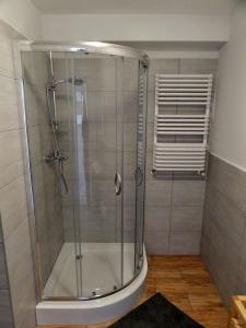 een douche met een glazen deur in de badkamer bij Apartament CamInSki in Kudowa-Zdrój