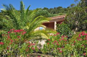 a garden with pink flowers in front of a house at Residence "U LATONU" in Porto-Vecchio
