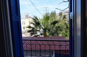 a view of a palm tree from a window at "STELIOS & GALINI" in Symi