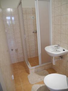 a bathroom with a shower and a toilet and a sink at Apartmá Anglická in Františkovy Lázně