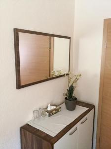 ein Spiegel an einer Wand über einem Waschtisch mit einer Pflanze in der Unterkunft Gasthof Post in Großaitingen
