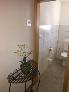 ein Badezimmer mit einem WC und einer Pflanze auf dem Tisch in der Unterkunft Gasthof Post in Großaitingen