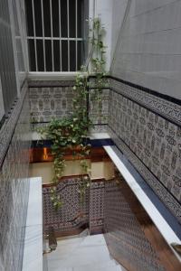 a staircase leading up to a balcony with a plant growing out of it at Hostal Alamare in Seville