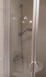 a shower with a glass door in a bathroom at Haus der Erholung Süd in Krems an der Donau