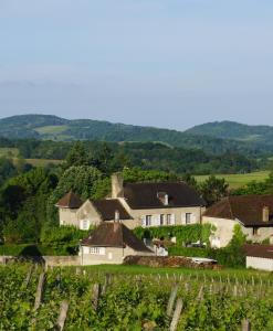 a group of houses in a vineyard in a field at Domaine de Saint Loth' in Saint-Lothain